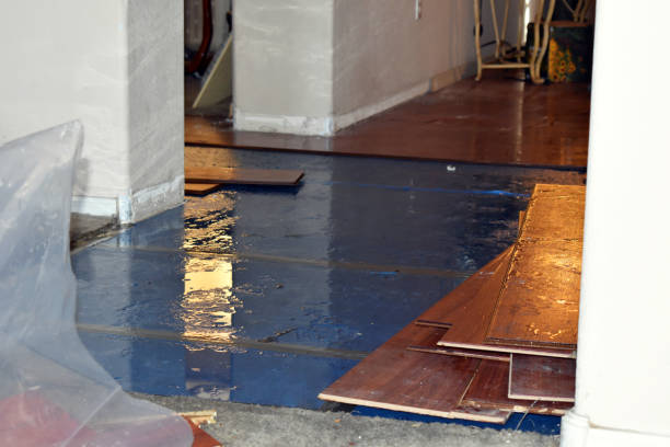 Professional Sewage Cleanup technician working in Utica, NY